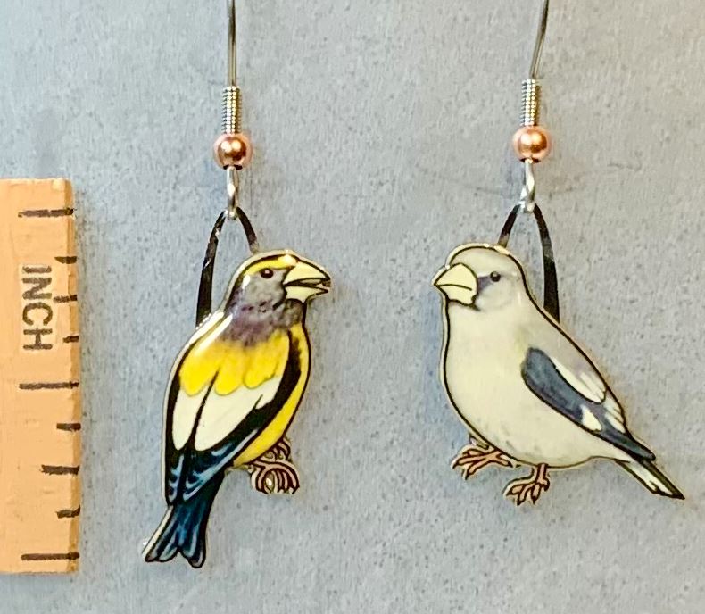 Evening Grosbeak Earrings