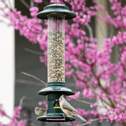 Bird feeder with birds perched on it against a pink flowering tree background