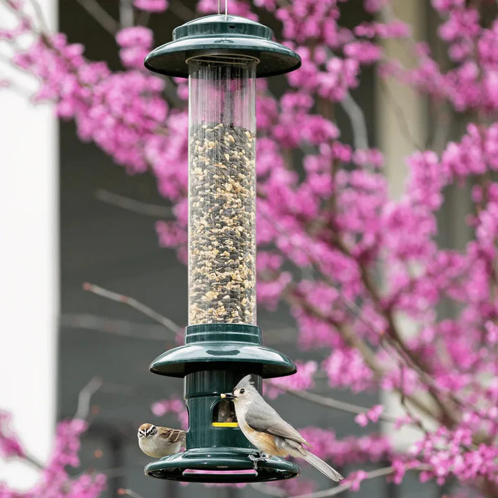Bird feeder with birds perched on it against a pink flowering tree background