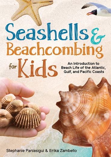 Book cover of 'Seashells & Beachcombing for Kids' with shells and a hand holding shells on a beach.