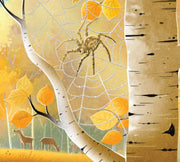 When You Go Into Nature Picture Book
a spider in a web