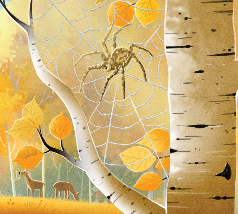 When You Go Into Nature Picture Book
a spider in a web