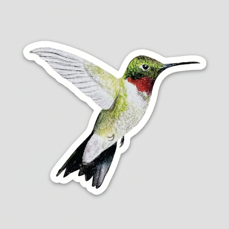Ruby-throated Hummingbird Sticker