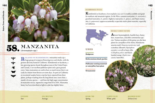 100 Plants to Feed the Bees - sample page