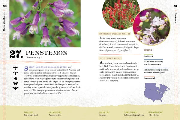 100 Plants to Feed the Bees - sample page