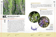 100 Plants to Feed the Bees - sample page