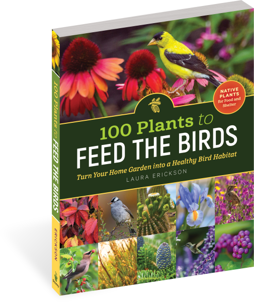 100 Plants to Feed the Birds
