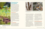 100 Plants to Feed the Birds - sample pages