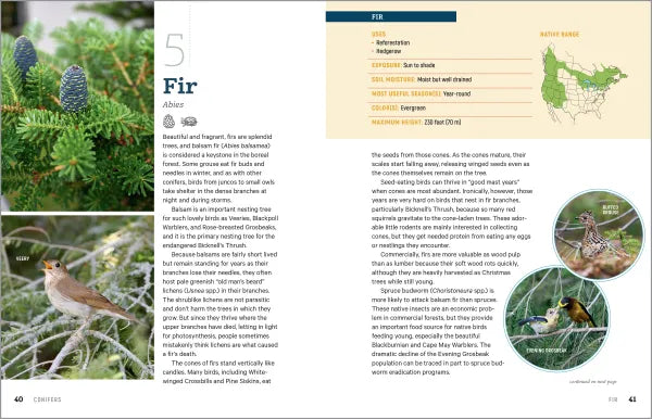 100 Plants to Feed the Birds - sample pages