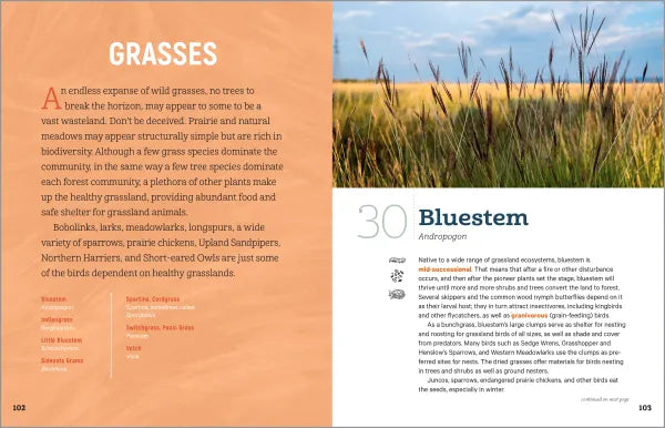 100 Plants to Feed the Birds - sample pages