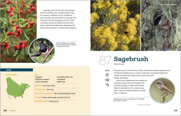 100 Plants to Feed the Birds - sample pages