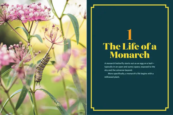 100 Plants to Feed the Monarch - sample pages
