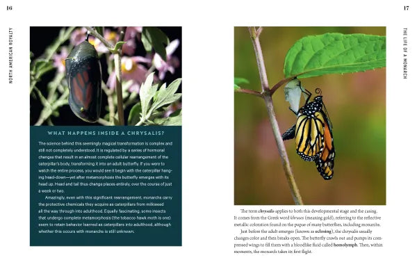 100 Plants to Feed the Monarch - sample pages