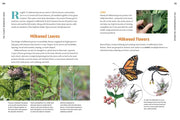 100 Plants to Feed the Monarch - sample pages