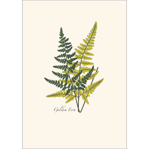 Fern Assortment II Boxed Notecard Set
golden fern