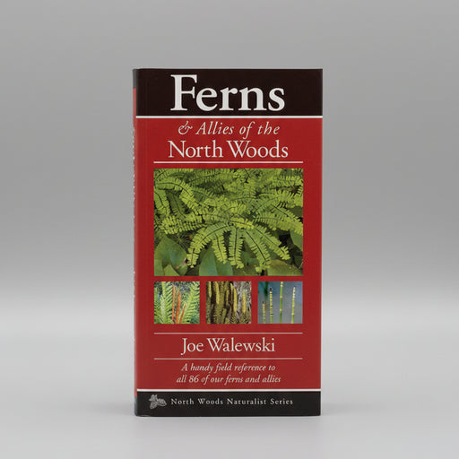 Book cover of 'Ferns & Allies of the North Woods' by Joe Walewski with images of ferns on a red background.