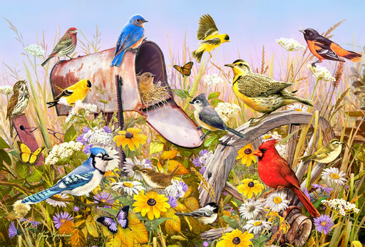 Field song reference poster with a wide variety of bird species, perching on an abandoned mailbox and wagon wheel, surrounded by blooming flowers and butterflies.