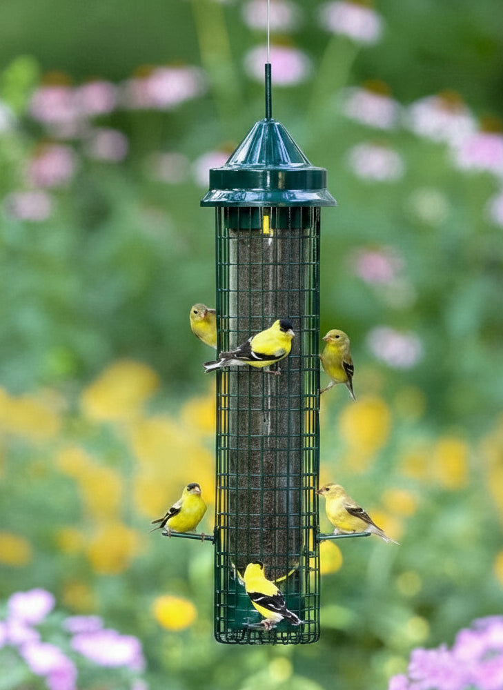 Squirrel Buster Finch Bundle - feeder in use