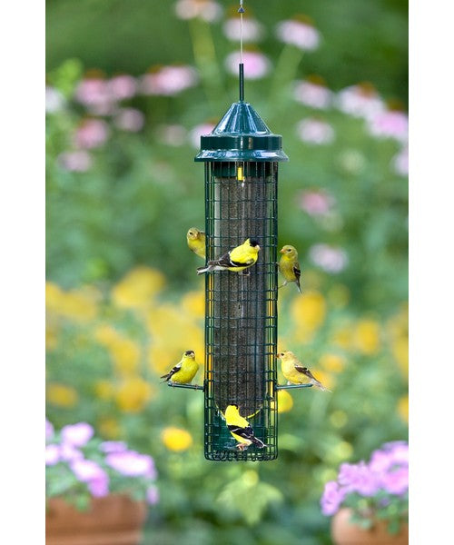 Squirrel Buster Finch Bundle - feeder in use