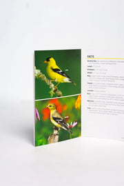 Book with images of a yellow finch on green and white backgrounds