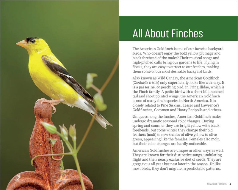 Yellow finch on a perch with text about finches on a green background
