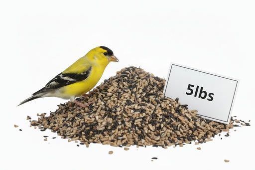 Finch Favorite Seed Mix