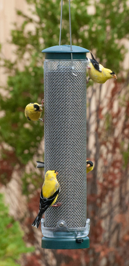 Quick Clean Nyjer Mesh - Spruce with goldfinches