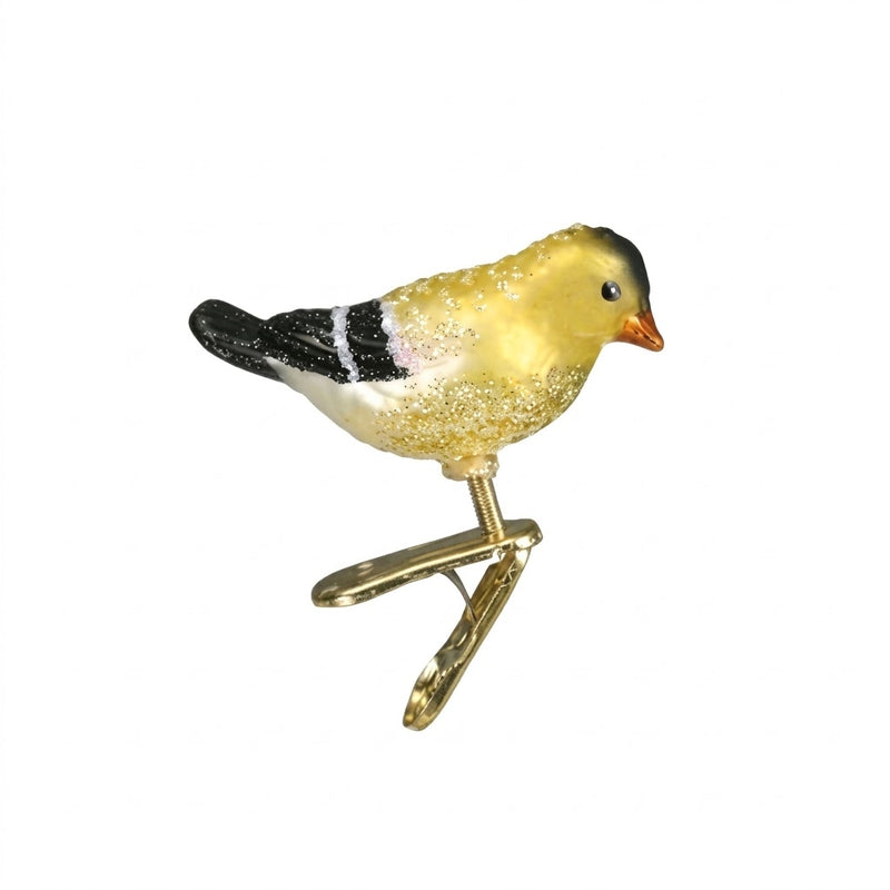 miniature gold finch