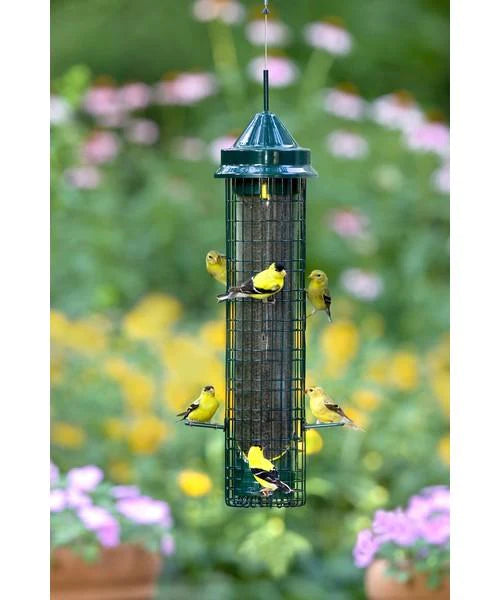 Squirrel Buster Finch feeder in use