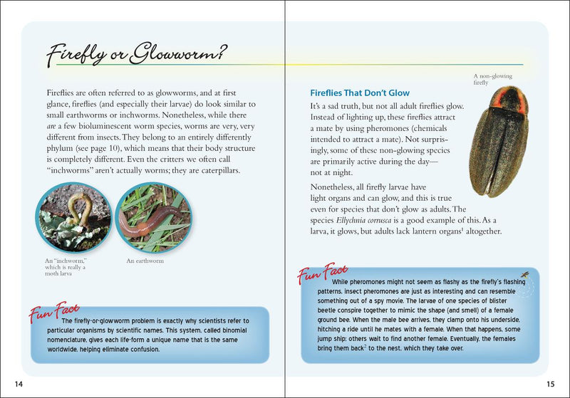 Fireflies Book - sample page