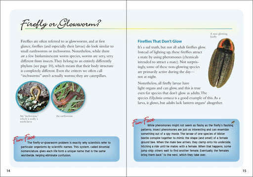 Fireflies Book - sample page