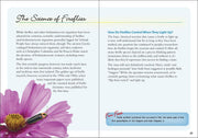 Fireflies Book - sample page