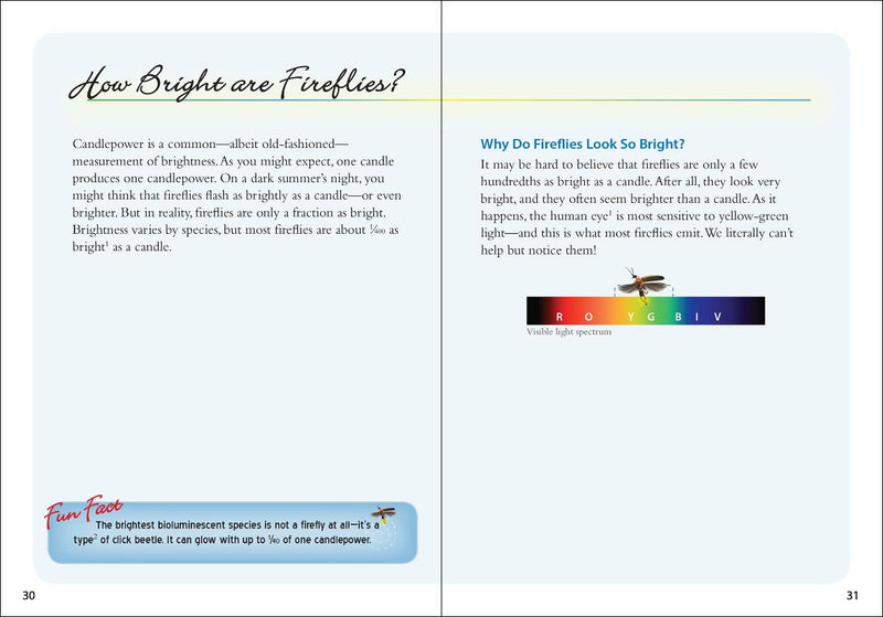 Fireflies Book - sample page