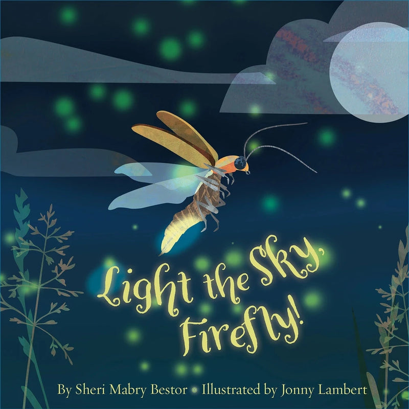 Light the Sky, Firefly! Picture Book
book cover