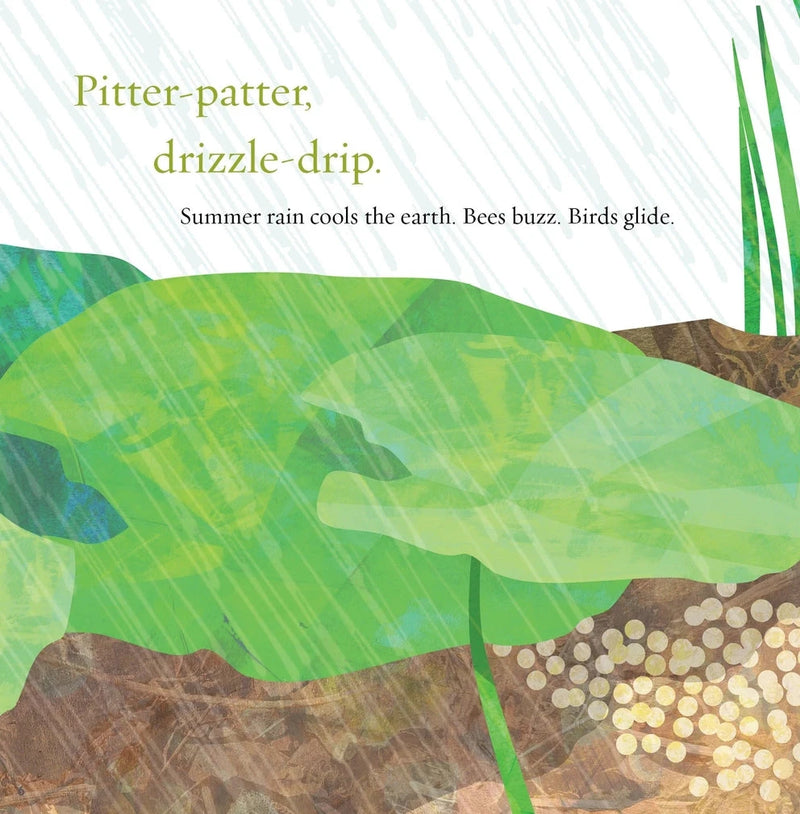 Light the Sky, Firefly! Picture Book
sample page