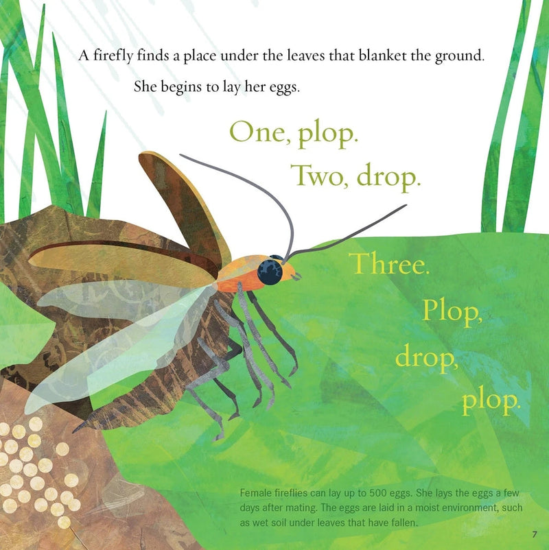 Light the Sky, Firefly! Picture Book
sample page
