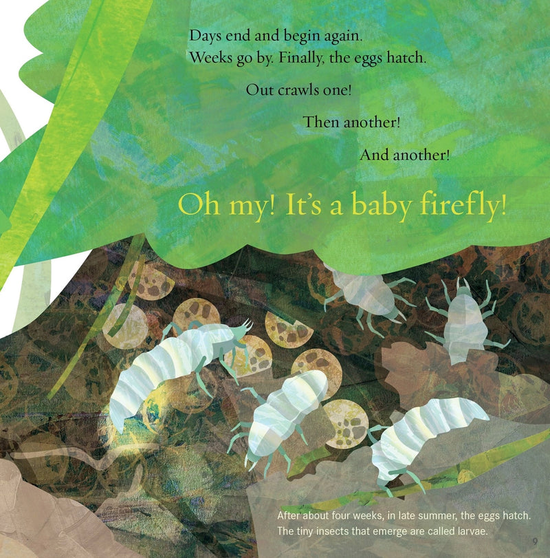 Light the Sky, Firefly! Picture Book
sample page