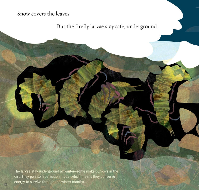 Light the Sky, Firefly! Picture Book
sample page