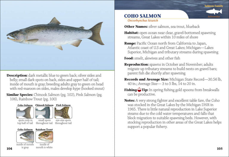 Fish of Michigan Field Guide, 2nd edition