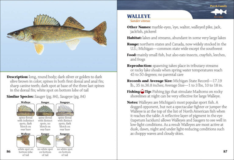 Fish of Michigan Field Guide, 2nd edition