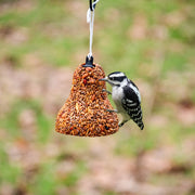 Seasonal Seed Bell Bundle