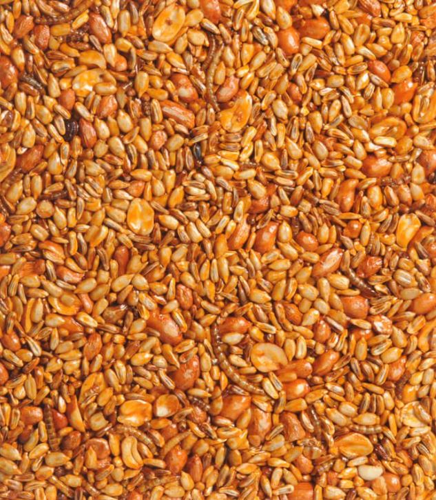 Flaming Hot Feast Cake – Small - sunflower hearts, peanuts, golden safflower, and mealworms with an extra-spicy hot pepper