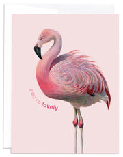 Flamingo Card - You're Lovely