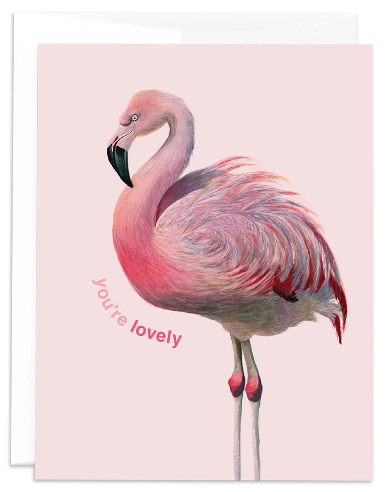Flamingo Card - You're Lovely