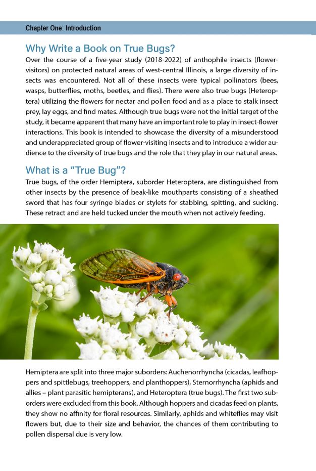 Flower Bugs: A Guide to Flower-Associated True Bugs of the Midwest
sample page