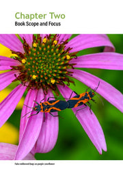 Flower Bugs: A Guide to Flower-Associated True Bugs of the Midwest
sample page