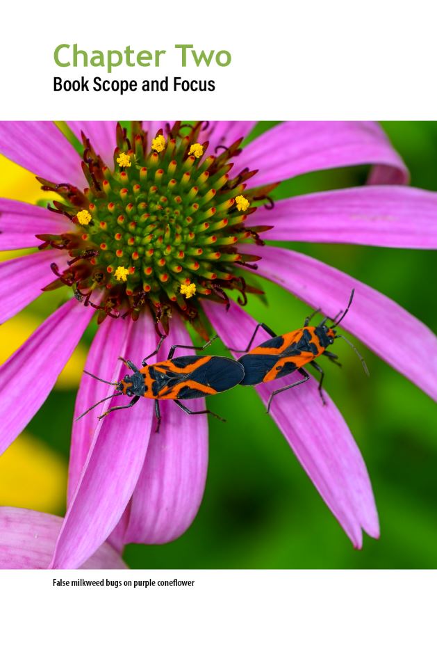 Flower Bugs: A Guide to Flower-Associated True Bugs of the Midwest
sample page