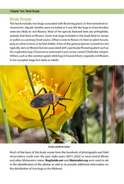 Flower Bugs: A Guide to Flower-Associated True Bugs of the Midwest
sample page
