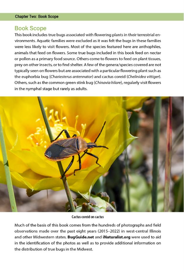 Flower Bugs: A Guide to Flower-Associated True Bugs of the Midwest
sample page