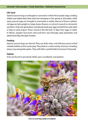 Flower Bugs: A Guide to Flower-Associated True Bugs of the Midwest
sample page